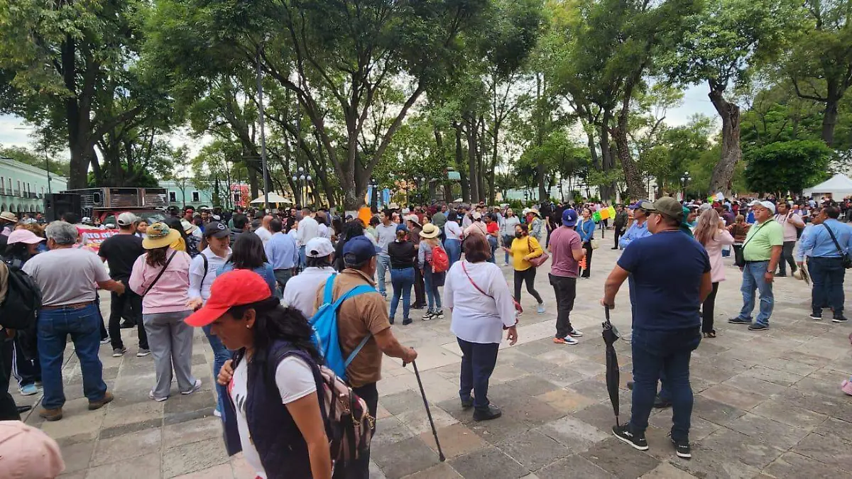 plantín sindicalizados (1)